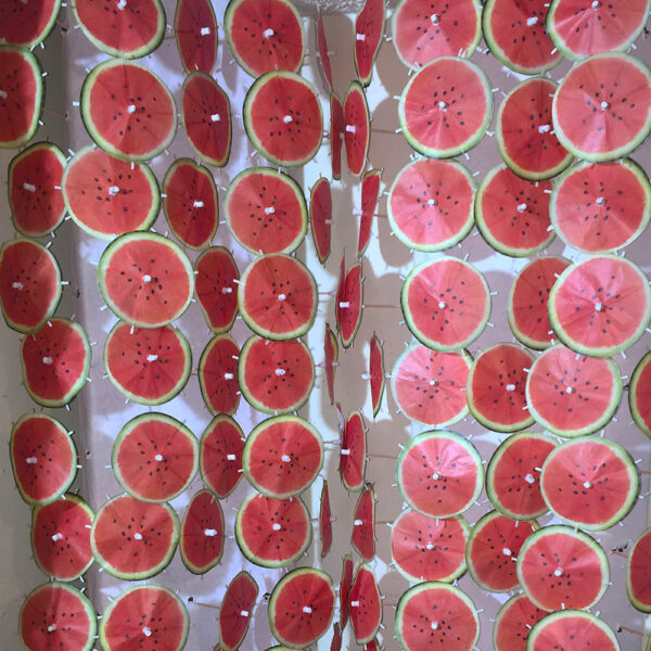Watermelon Cocktail Umbrellas Aligned
