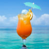 Bermuda Teal Cocktail Umbrella in Cocktail
