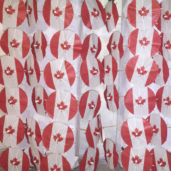 Canada Flag Cocktail Umbrellas Aligned