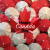 Canada Day Red & White Cocktail Umbrellas