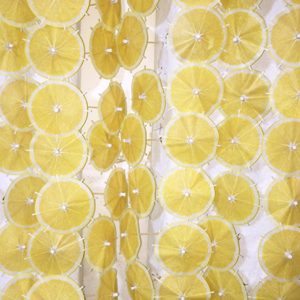 Lemon Cocktail Umbrellas Aligned