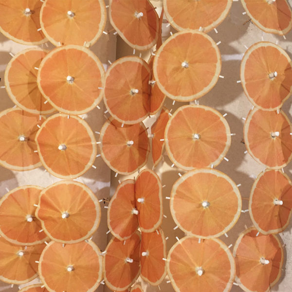 Orange Cocktail Umbrellas Aligned