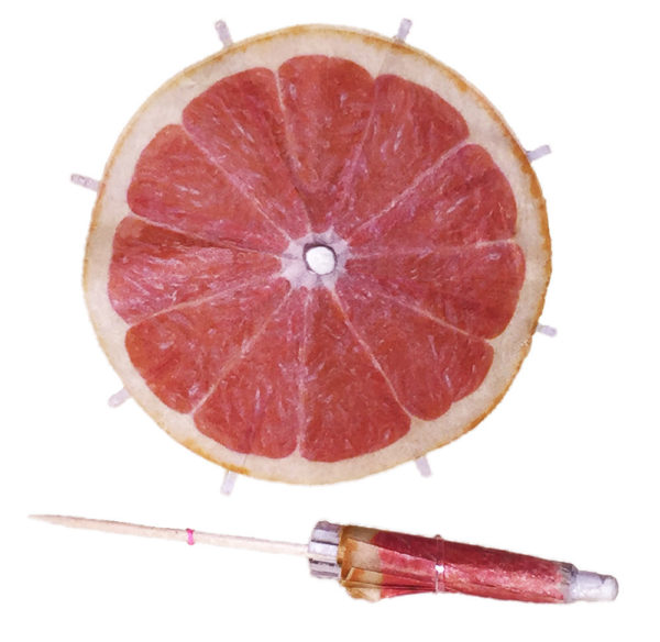 Pink Grapefruit Cocktail Umbrellas