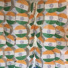 India Flag Cocktail Umbrella Aligned