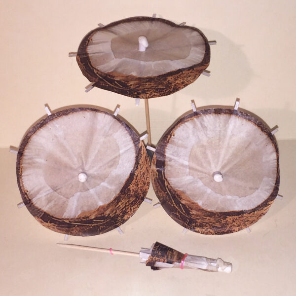 Coconut Cocktail Umbrellas Group