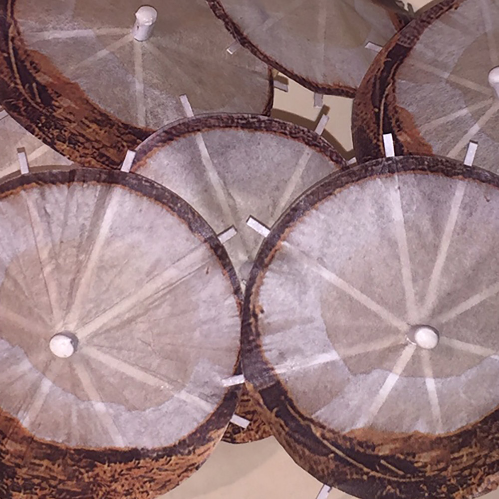 Coconut Cocktail Umbrellas Open Collage