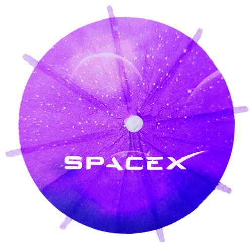 Space X CLIENT Drink Umbrella 2023